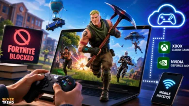 SilverTrend blog post about the Fortnite Unblocked.